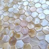 Hexagon Mosaikfliese aus natürlichem Perlmutt für Wand- oder Bodenmodell SAORI